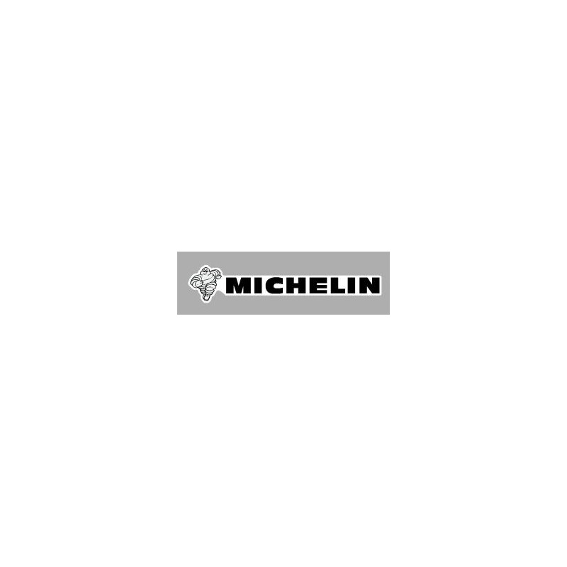 Logo Michelin