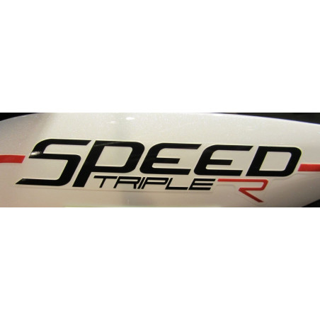 2 Pegatinas Speed triple R