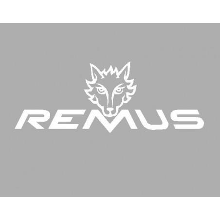 Sticker logo REMUS