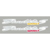 Lot de 2 stickers pour Bandit 1250